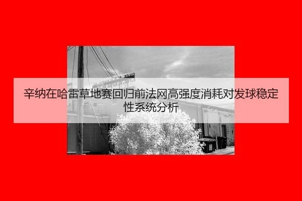 xin-na-zai-ha-lei-cao-di-sai-hui-gui-qian-fa-wang-gao-qiang-du-xiao-hao-dui-fa-qiu-wen-ding-xing-xi-tong-fen-xi-2-477.jpg