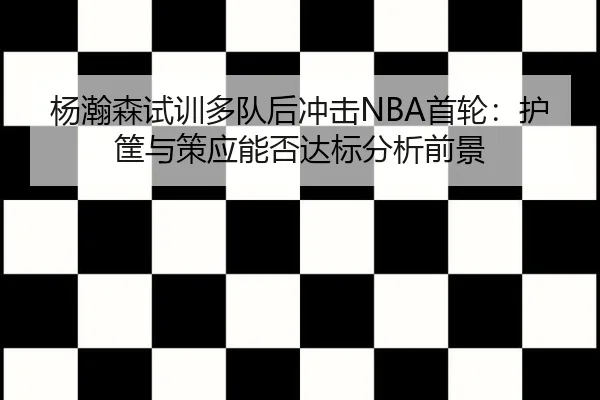 杨瀚森试训多队后冲击NBA首轮：护筐与策应能否达标分析前景